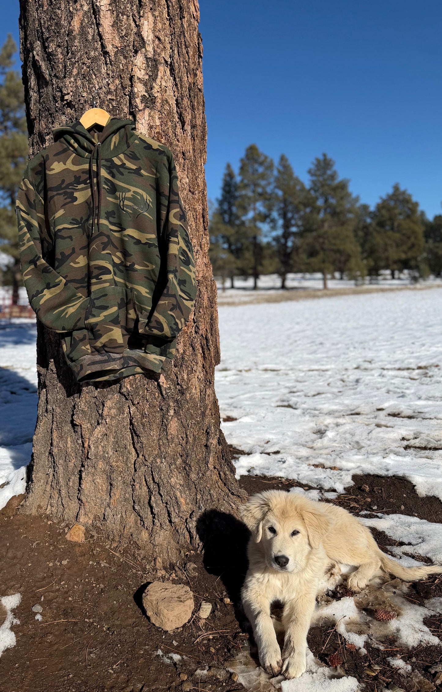 Dog sitting on a snowy ground next to a tree with a green camouflage hoodie hanging on it