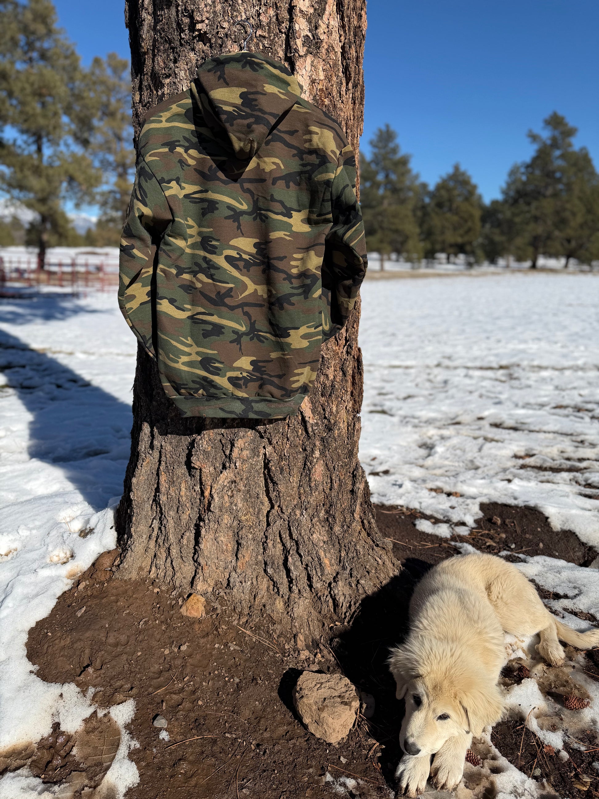 back of a Camouflage hoodie hanging on a tree with a dog lying on the ground in a snowy field.