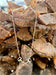 Silver Chain Horse Bit Necklace